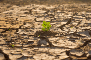 riscos climáticos e desastres ambientais